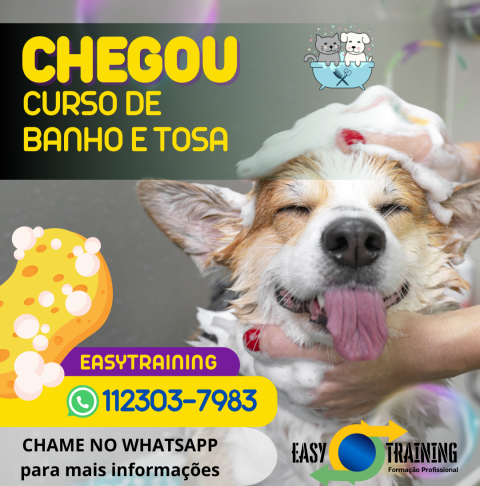 Curso de banho e tosa